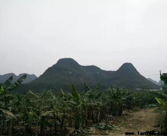 风水有许多门派，但这几点风水宝地的看法是雷同的