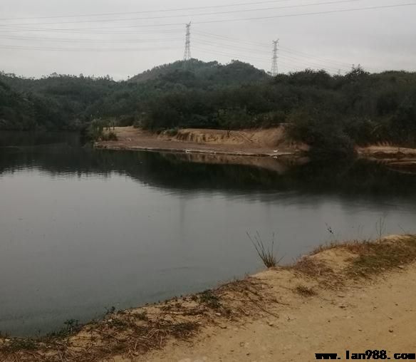 广东陆河看墓地风水现场，纳水午戌、水口在庚，福主定卜福寿双全