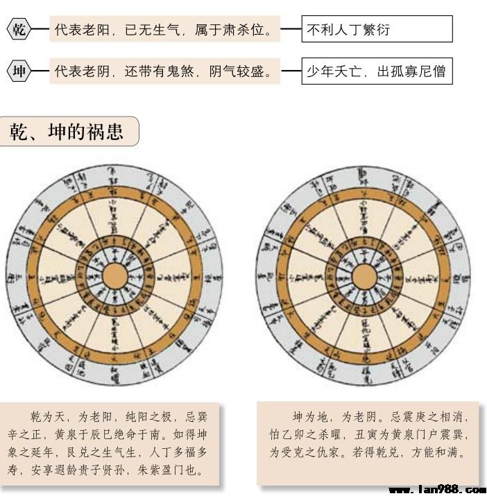 评阳龙五——乾、坤龙