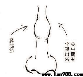 鼻梁骨起节的人中老年运程易破败