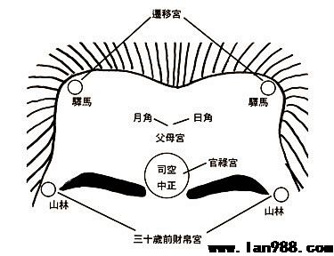 前额长得低、窄、陷的人有什么运势特点？