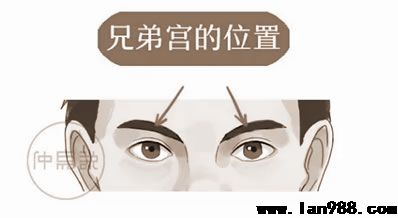 眉毛长什么样的人工作不用愁，看是不是你？