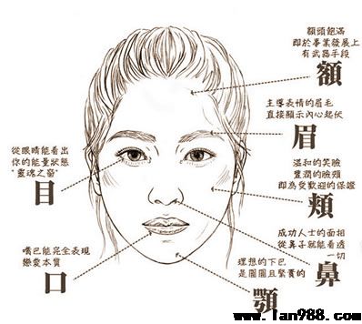 从脸相来看你的性情和运势，对比自身总有获得