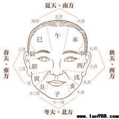 脸部五官的五行生克矛盾会给人生道路产生如何的危害？