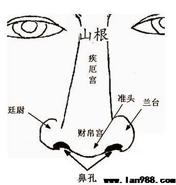 易鑫教师民俗脸相解释课堂教学篇七之鼻头