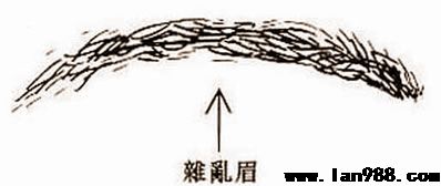 性质受迎接，喜好用战斗力解决困难的男人面相