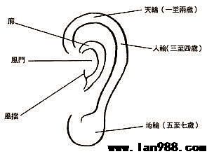 耳朵里面主伶俐型由耳朵里面看着你今世贡献尺寸