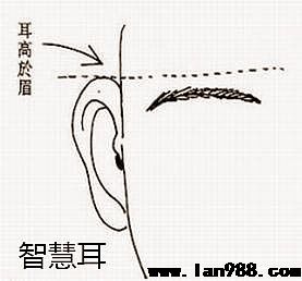 八字命理权威专家看着你是不是有着福分之耳