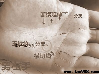 手掌心出現这4种状态，婚姻生活波动，感情难定！