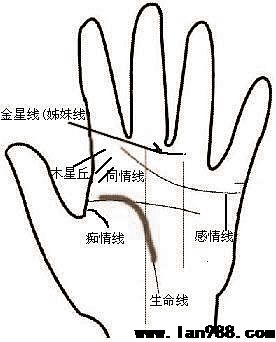 看着你有木有痴情无利的手掌纹