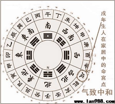 戌年出世之士生肖属狗居家风水布局关键点