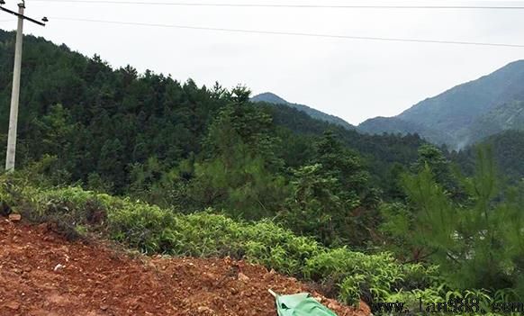 阴宅风水风水宝地案例，立巽山乾向巳亥吉度分金