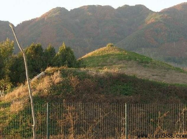 坟头墓地出现老鼠啃噬穿孔打洞要及时修护