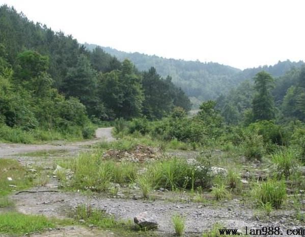 家族先人流落在外跑尸荒野，后人如有线索应将其魂归故里重新安葬