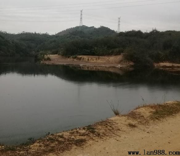 广东陆河看墓地风水现场，纳水午戌、水口在庚，福主定卜福寿双全