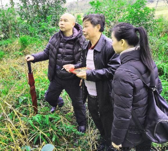 龙旺发富贵，穴真兴子孙