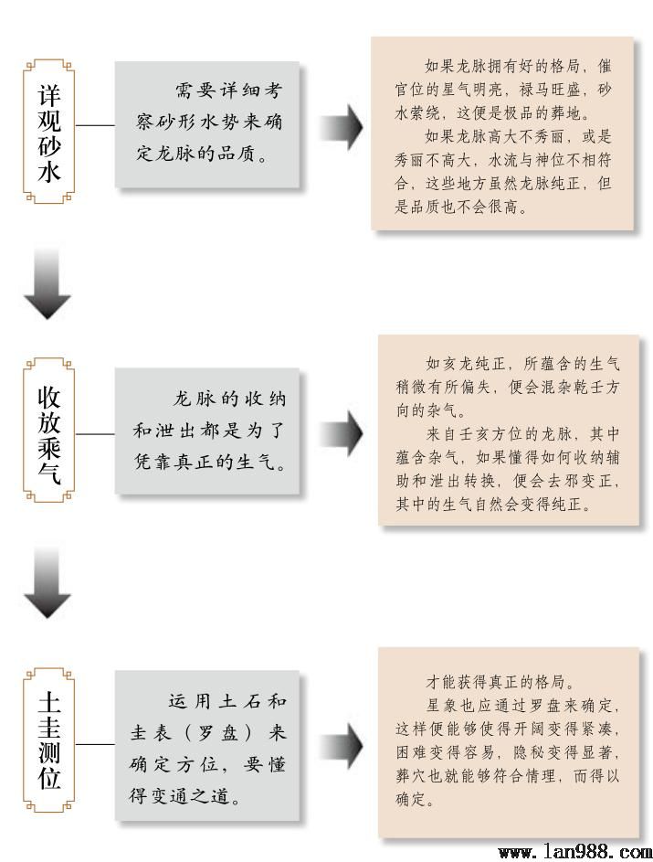 论行龙二十七——真行伪落，阴龙转阳