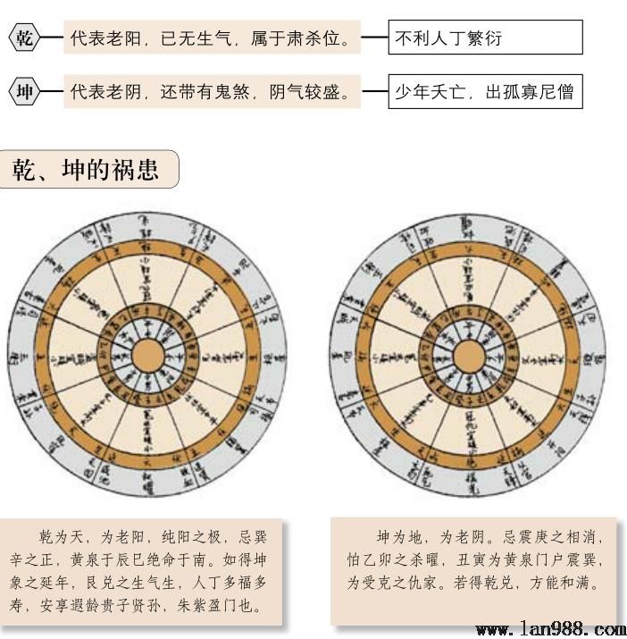 评阳龙五——乾、坤龙