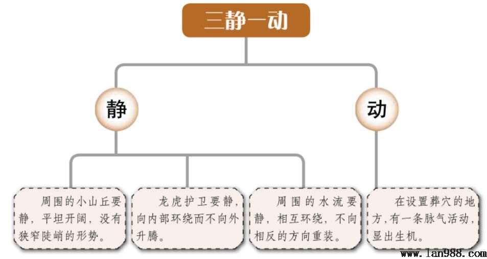 通过动静和生死来识别龙气