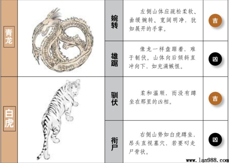 平地上的青龙、白虎在风水上的作用