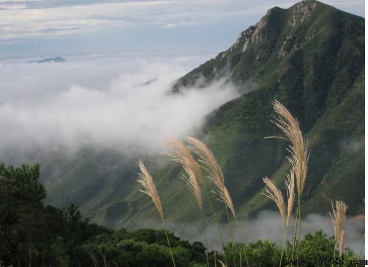 风水学停止山不可为葬地