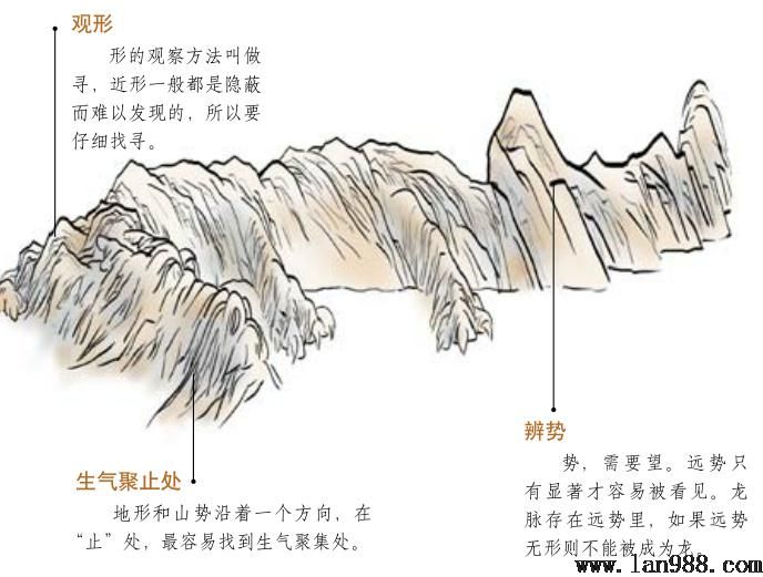 怎样理解丰硕学症的形与势