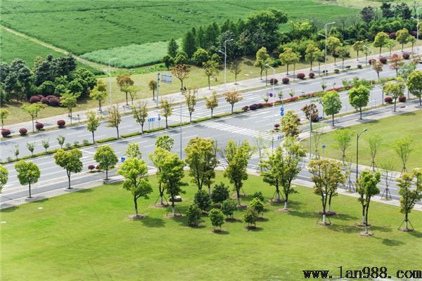 丁字路口风水讲解