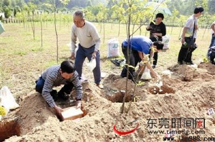 骨灰下葬有哪些风水禁忌