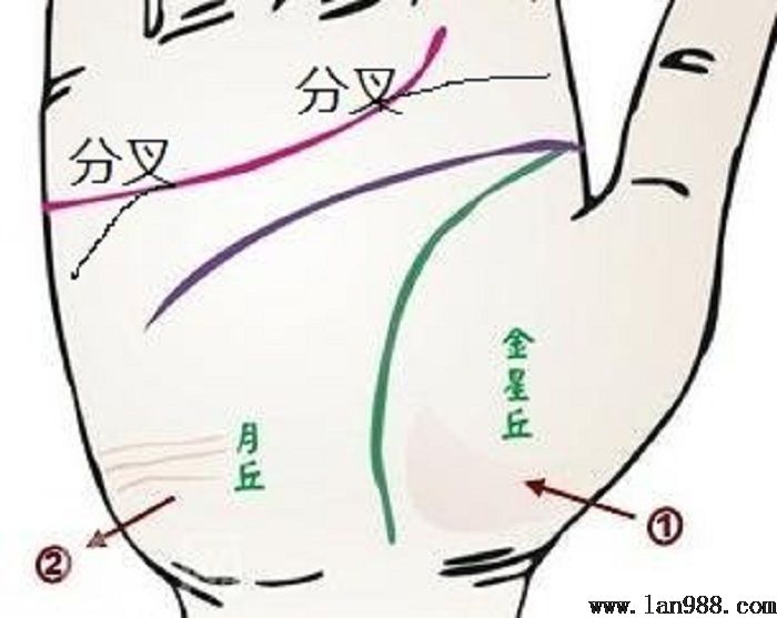 婚姻感情坎坷的手相